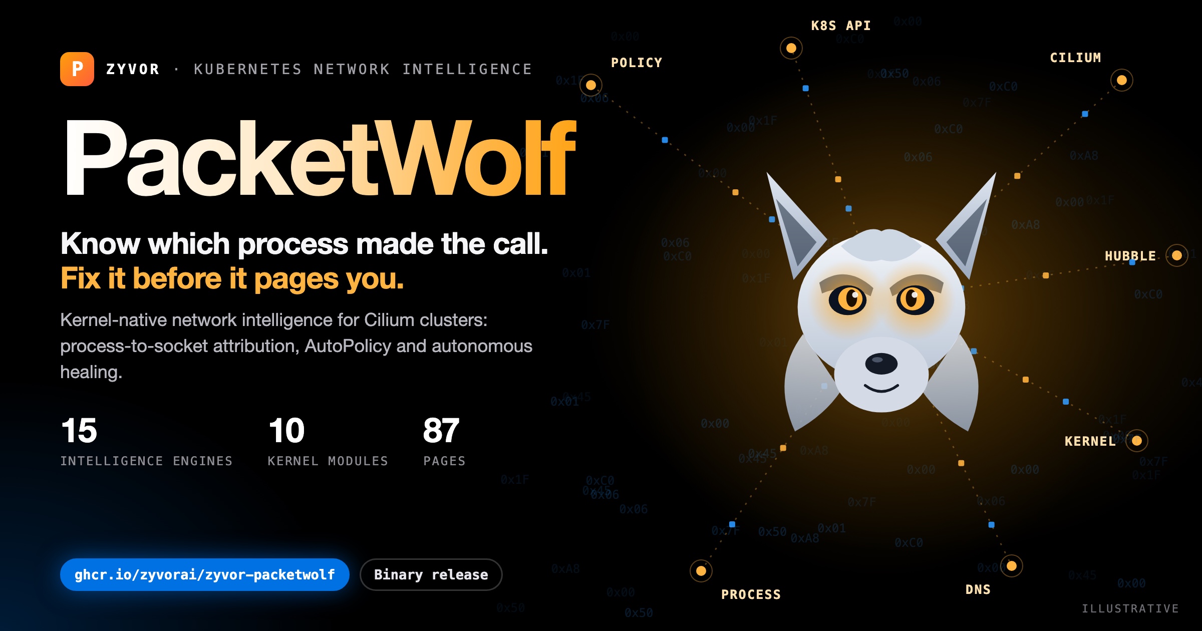 PacketWolf: know which process made the call. Fix it before it pages you.